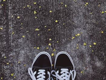 Low section of person in canvas shoe standing on footpath