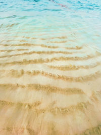 High angle view of beach