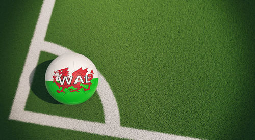 High angle view of soccer ball on field