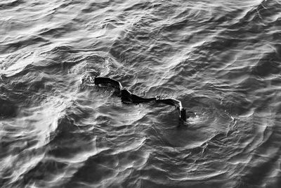 Full frame shot of swimming in sea