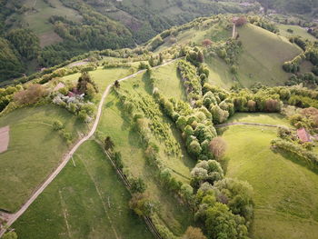 High angle view of agricultural field