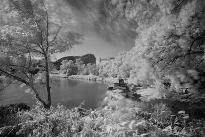 Scenic view of lake and trees against sky