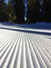 Scenic view of snow covered land