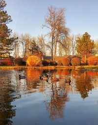 Reflection of trees on lake during autumn