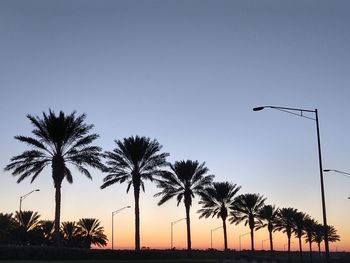 Silhouette palm trees against sky during sunset