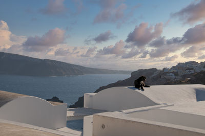 Dog on the roof of a house at sunset in greece