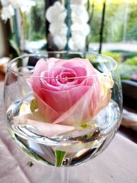 Close-up of rose in glass on table