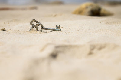 Close-up of keys half buried on beach sand