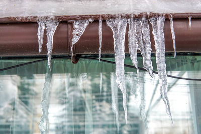 Close-up of icicles hanging from ice