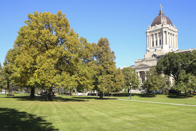 Trees in front of building against clear sky