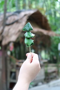 Cropped image of women holding food covered with leaves