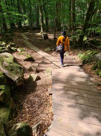 Women walking in the woods