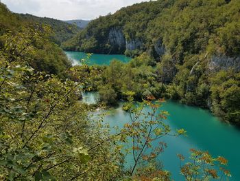 High angle view of lake amidst trees in forest