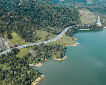 High angle view of river amidst trees