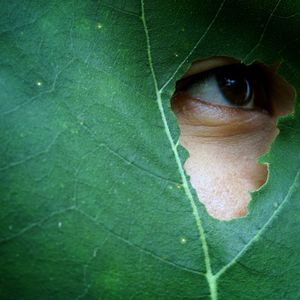 Close-up portrait of man with green leaf