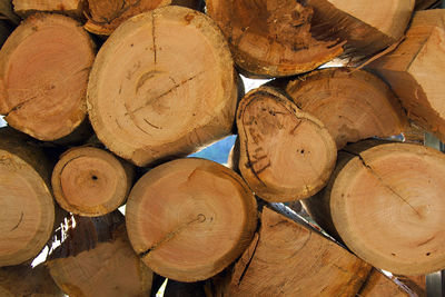 Full frame shot of logs in forest