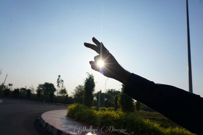 Person hand by tree against sky