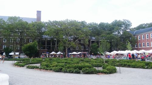 Trees growing in park