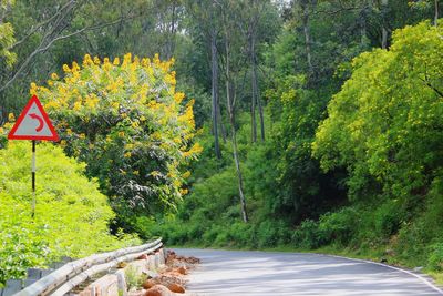 Road sign by trees in forest