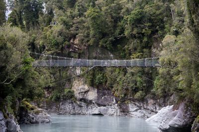 Bridge over river in forest