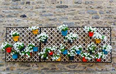 Flowers decoration on stone wall