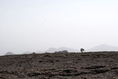 View of uncultivated landscape against sky