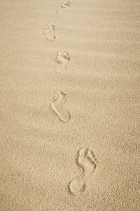 High angle view of footprints on sand