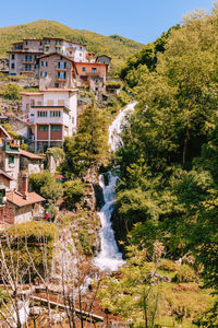 Buildings in forest