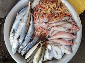 High angle view of fish in plate