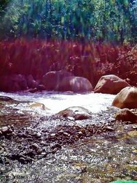 Scenic view of waterfall