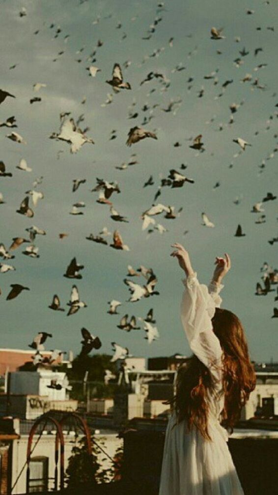 CLOSE-UP OF BIRDS IN WATER