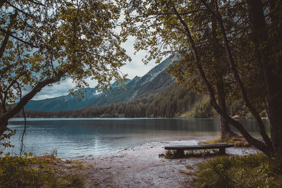 Scenic view of lake in forest against sky