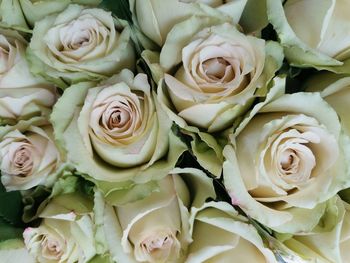 High angle view of rose bouquet