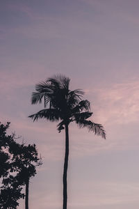 Silhouette palm tree against sky at sunset