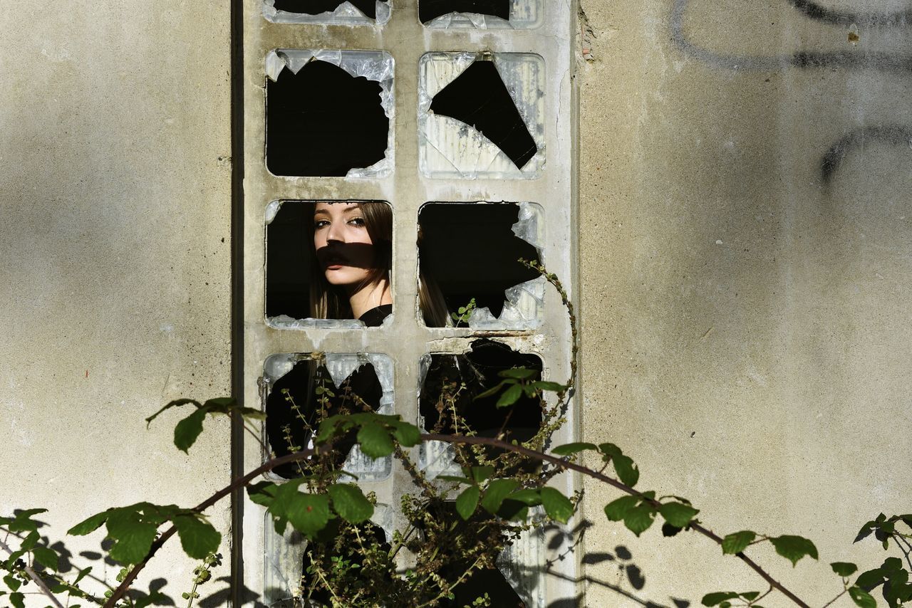 wall - building feature, window, plant, close-up, wall, growth, damaged, day, outdoors, weathered, no people, growing