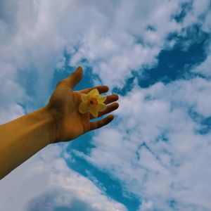 Low angle view of person hand holding fruit against sky