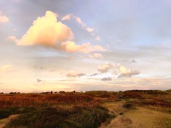 Scenic view of field against sky during sunset