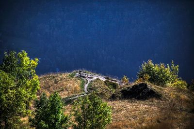 High angle view of trees on landscape against sky