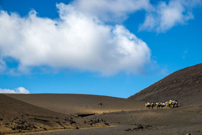 People riding camels in desert