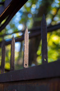 Close-up of rusty metal fence