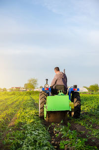 Farmer digs out of potatoes on a farm field. harvest first potatoes in early spring farming farmland