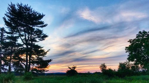 Silhouette trees on field against sky at sunset