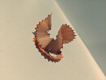 High angle view of pencils on wood