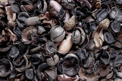 Full frame shot of onions