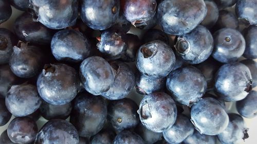 Full frame shot of shells
