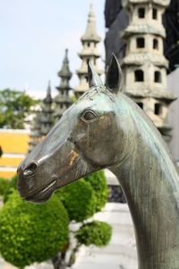Close-up of horse statue against built structure