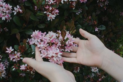 Cropped image of woman holding flowers in front of tree