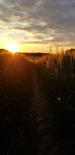 Scenic view of field against sky during sunset