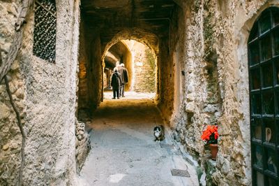 Cat in tunnel against people in town