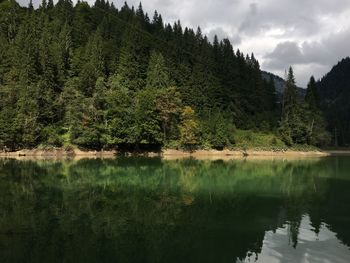 Scenic view of lake in forest against sky